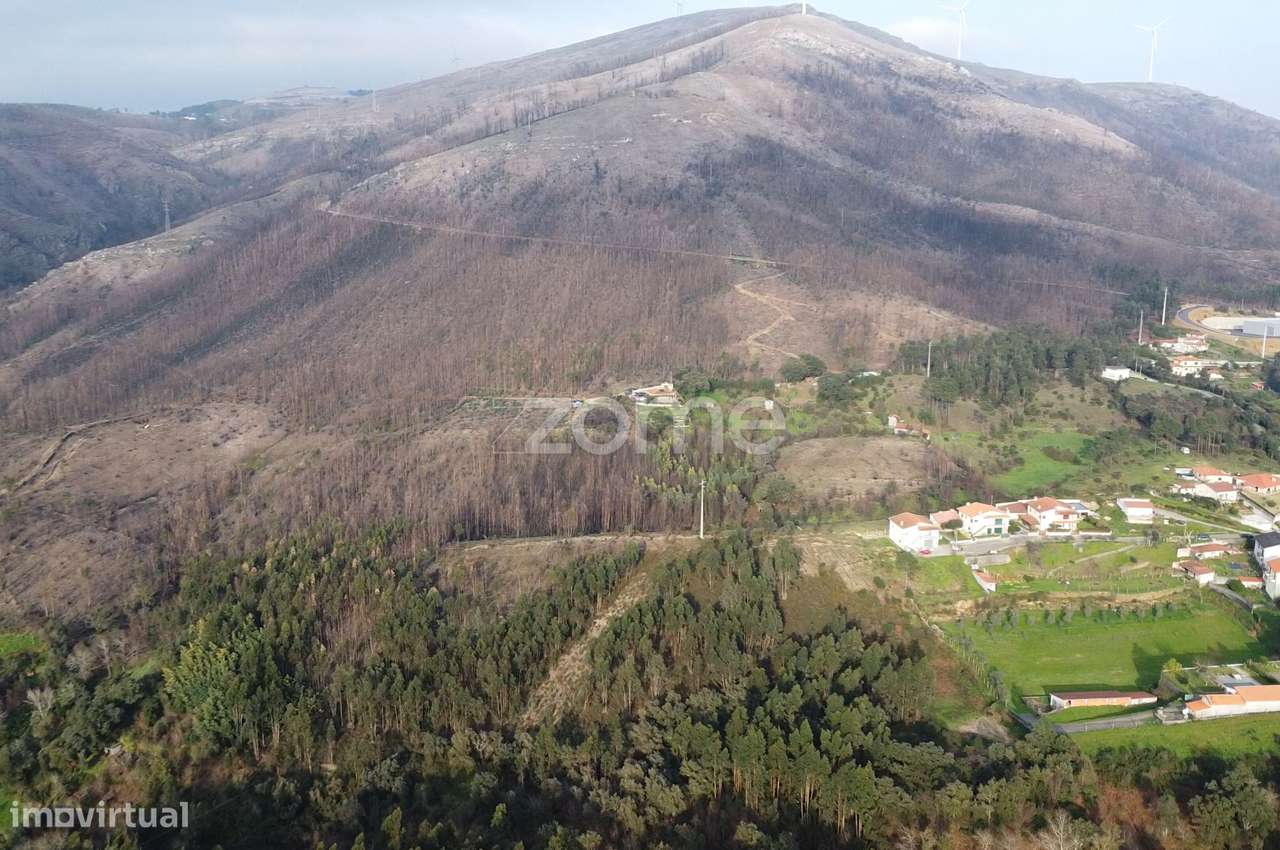 Terreno florestal urbanizável com 42.000 m2 - Melres, Gondomar - Grande imagem: 3/12