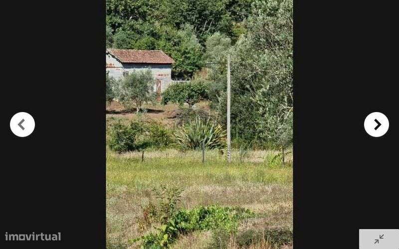 TERRENO 5.500m2 Parada de Gonta - Tondela - Grande imagem: 4/10