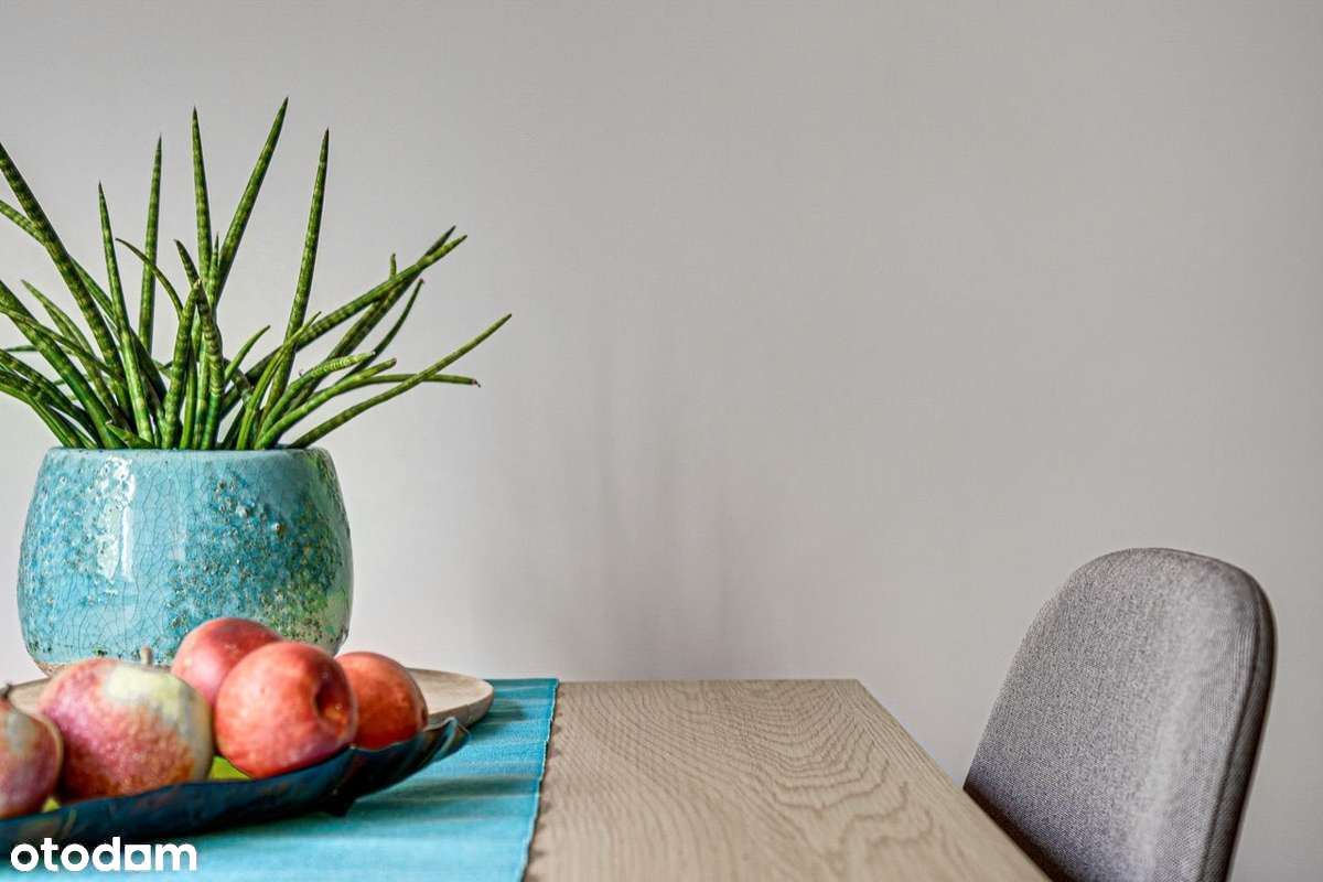 REZERWACJA - Piękny Apartament - Premium po remoncie - Pełny obrazek: 5/20