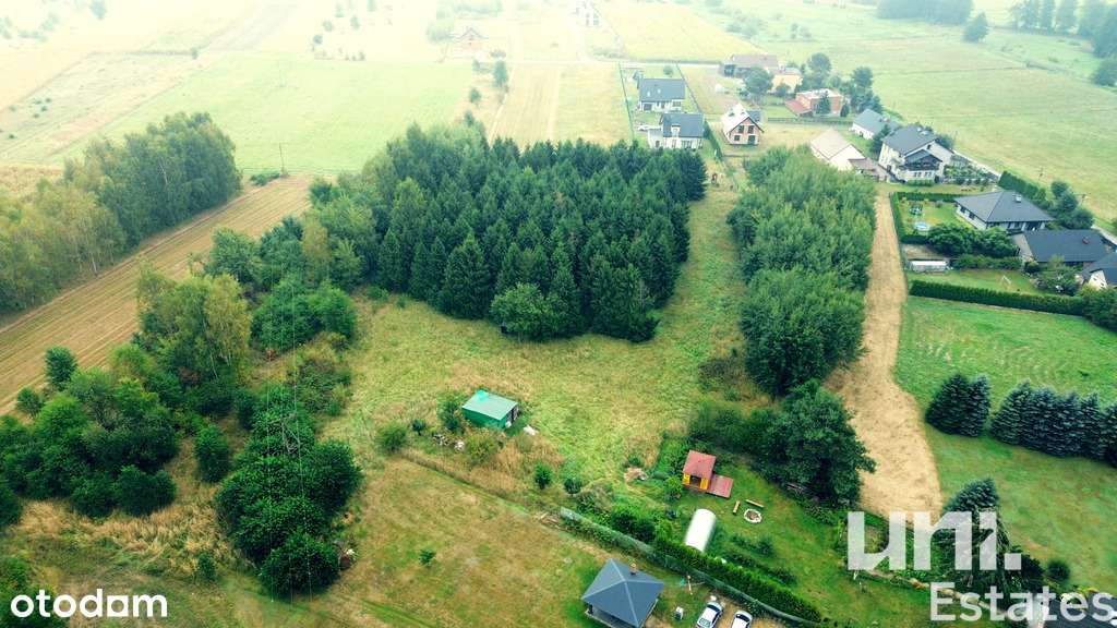 Działka budowlana  • LAS • Zielono • Cicha okolica - Pełny obrazek: 2/5