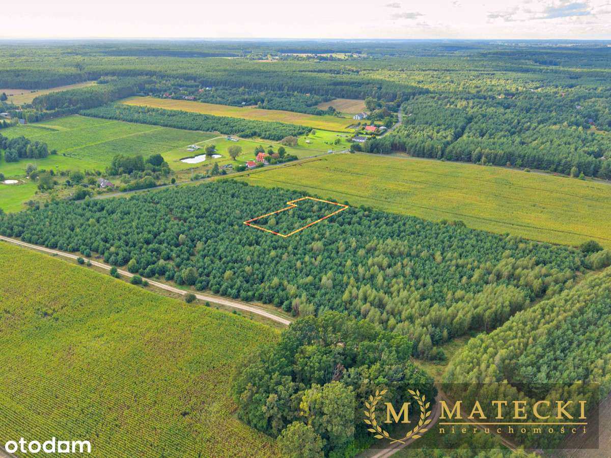 Wyjątkowa, duża działka z drzewami-5