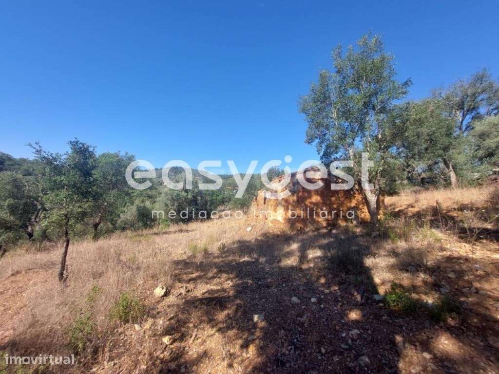 Monte em Ruina em local paradisíaco no Concelho de Odemira - Grande imagem: 3/22