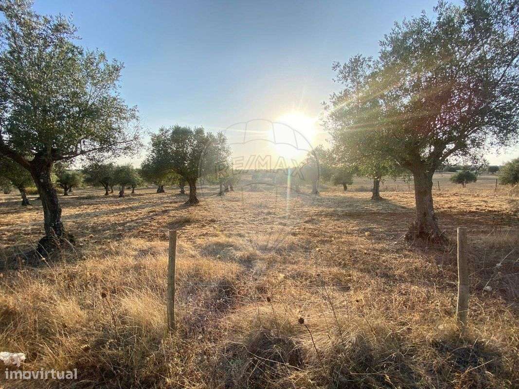 Terreno  para venda - Grande imagem: 3/12