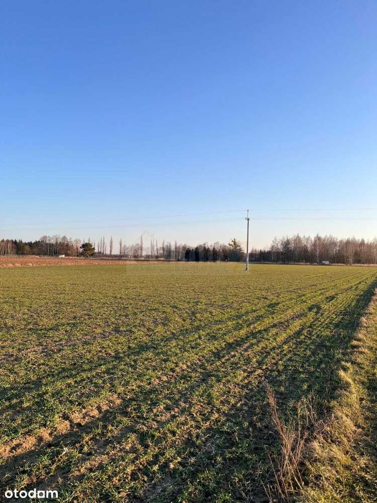 Działka budowlana 1142 m2 z warunkami zabudowy Pod-1