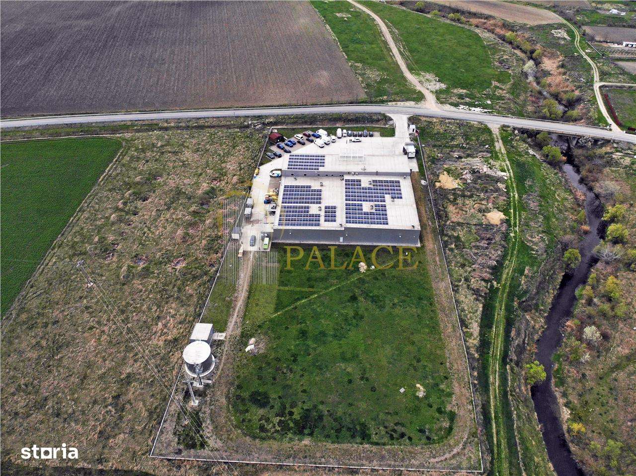 Hala Industriala Premium Letcani Complet Echipata - Imagine principală: 4/17