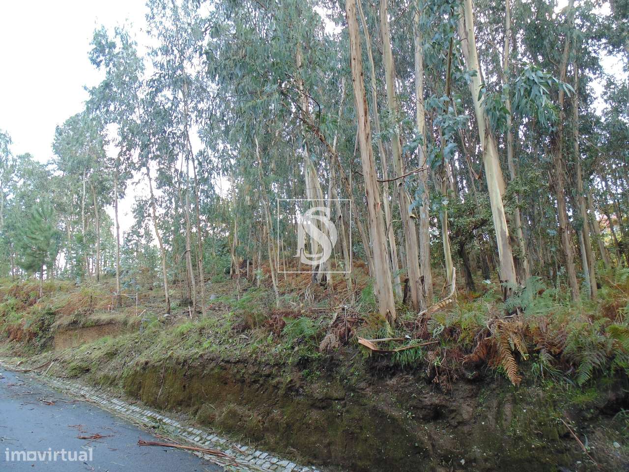 Terreno para Construção - Grande imagem: 4/7