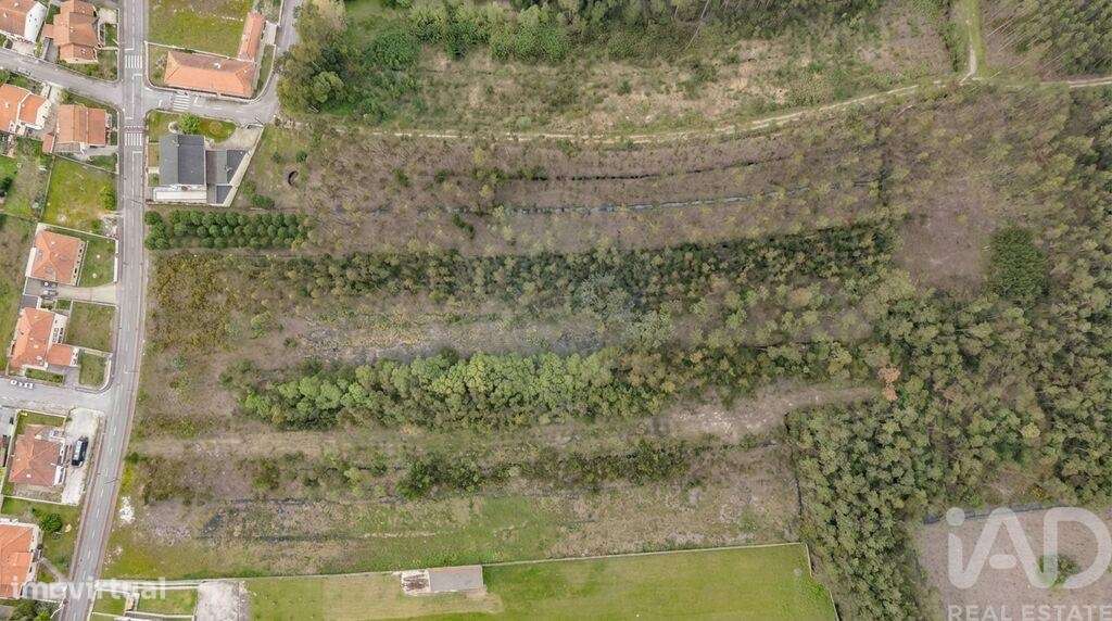 Terreno para construção em Fonte de Angeão e Covão do Lobo - Grande imagem: 4/4