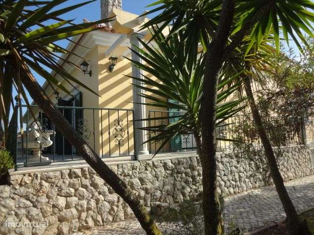 Quinta T/7 Cartaxo-13