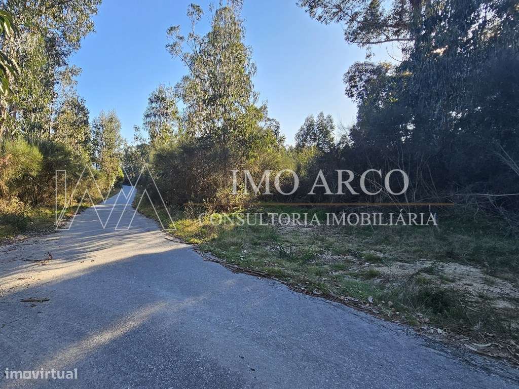 Terreno Rústico com 45.900 m² - Pedraça, Cabeceiras de Basto-13
