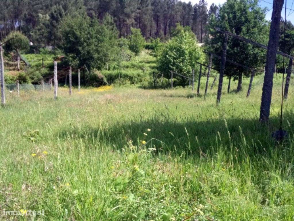 Terreno para Construção - Amarante - Grande imagem: 4/5