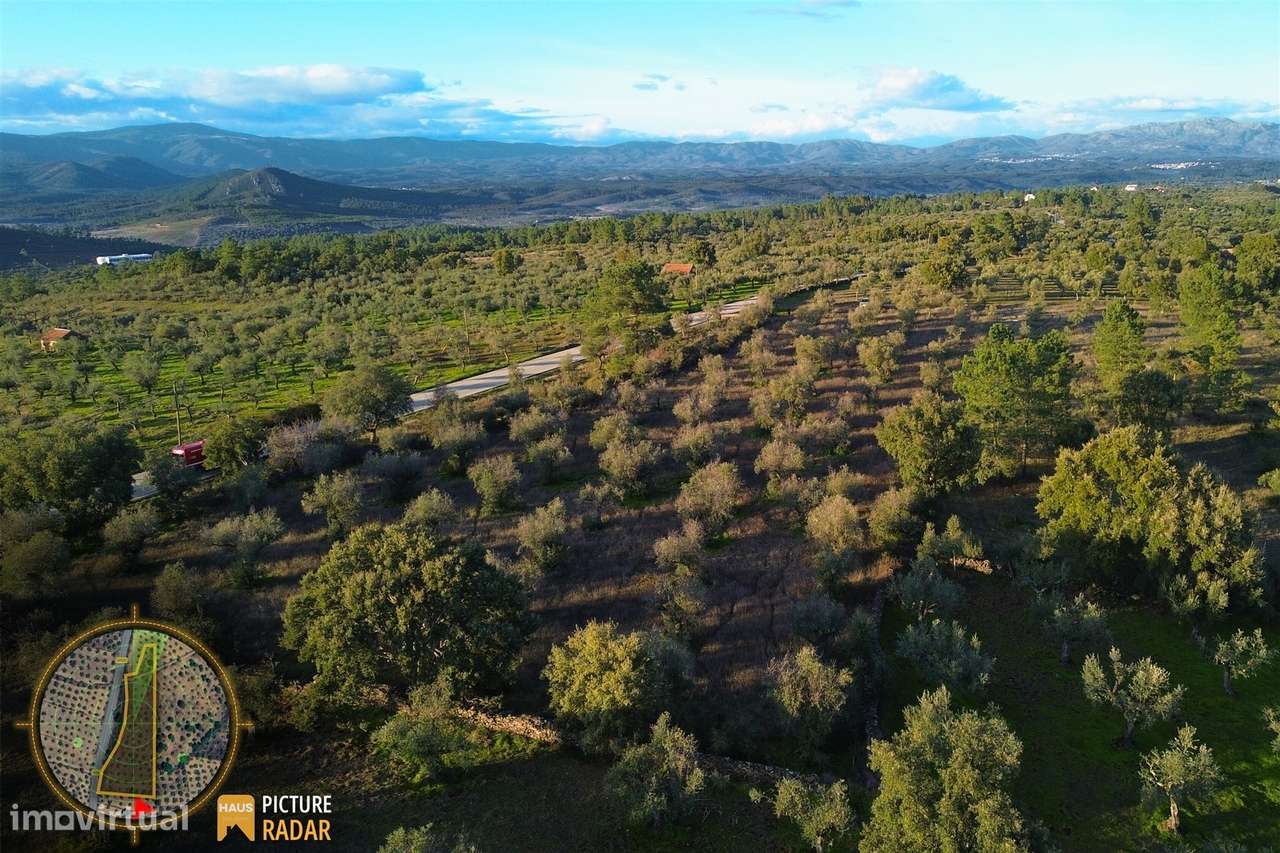 Terreno Plano 6.700m² c/ Vistas Panorâmicas – Salgueiro do Campo-10