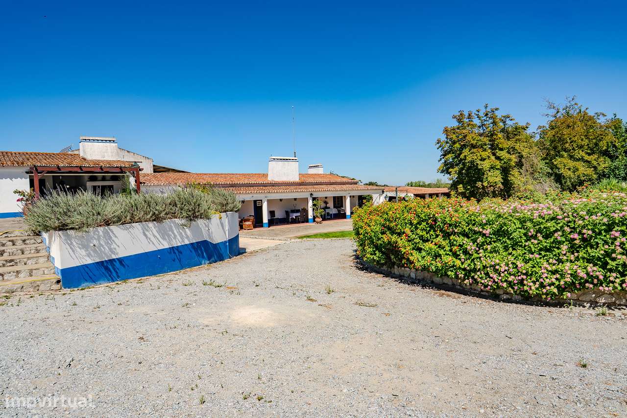 QUINTA 15 HA | VENDA | ÉVORA – ALENTEJO-20