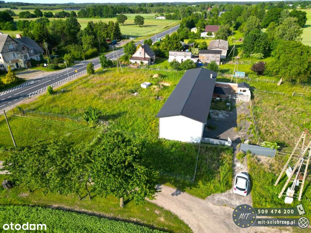 Działka, 5 798 m², Leszczyn - Pełny obrazek: 4/17