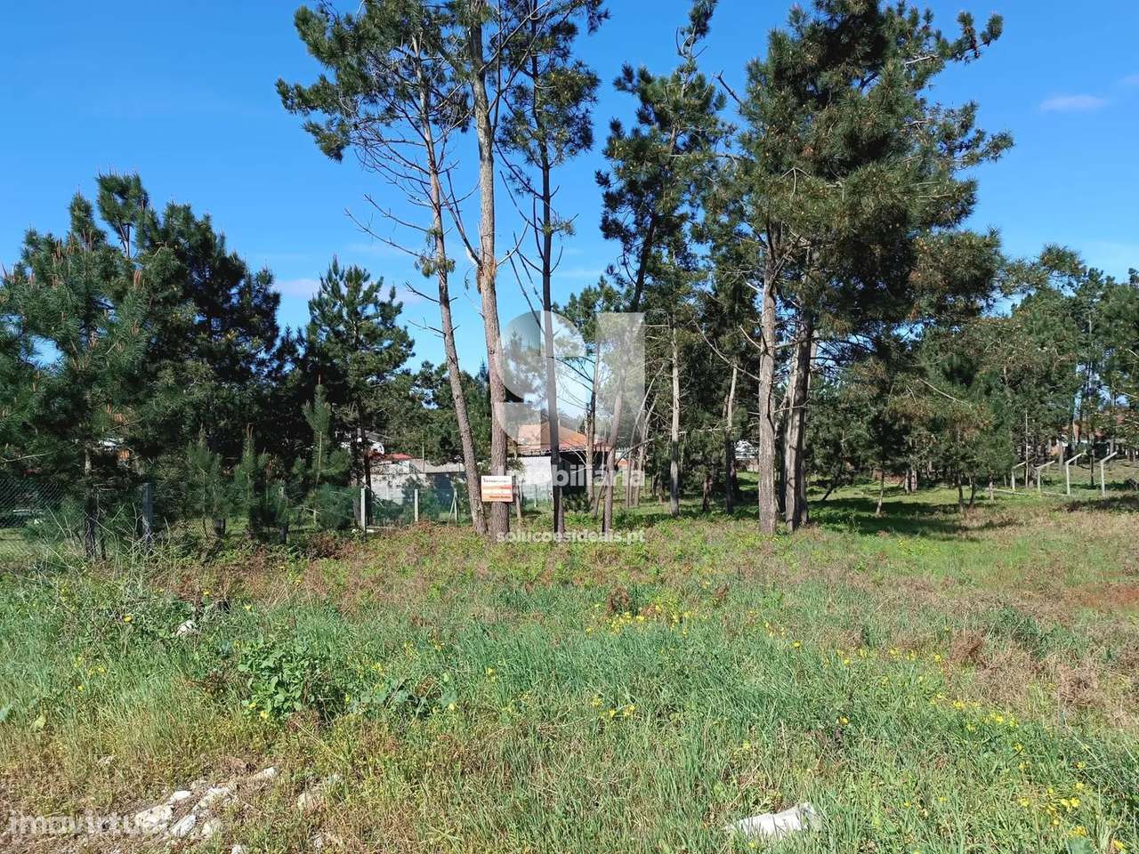 Terreno em Marinha grande - Grande imagem: 5/8