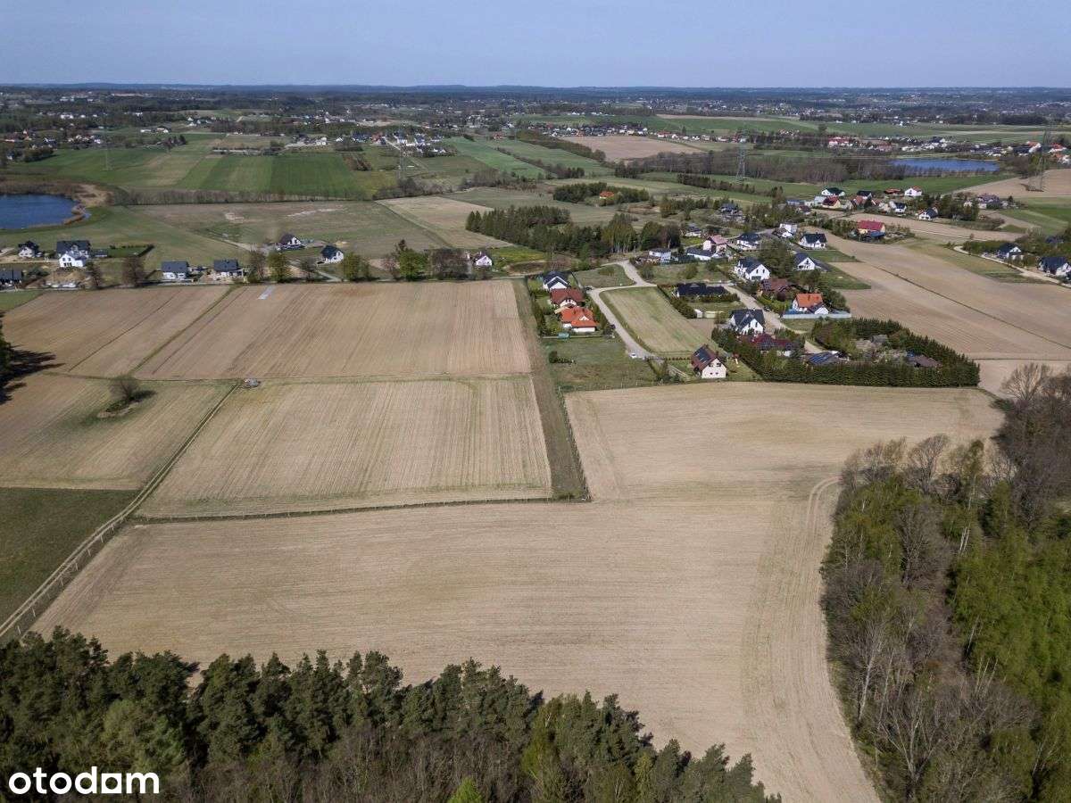 Świeża dostawa działek w dobrej cenie! - Pełny obrazek: 5/7