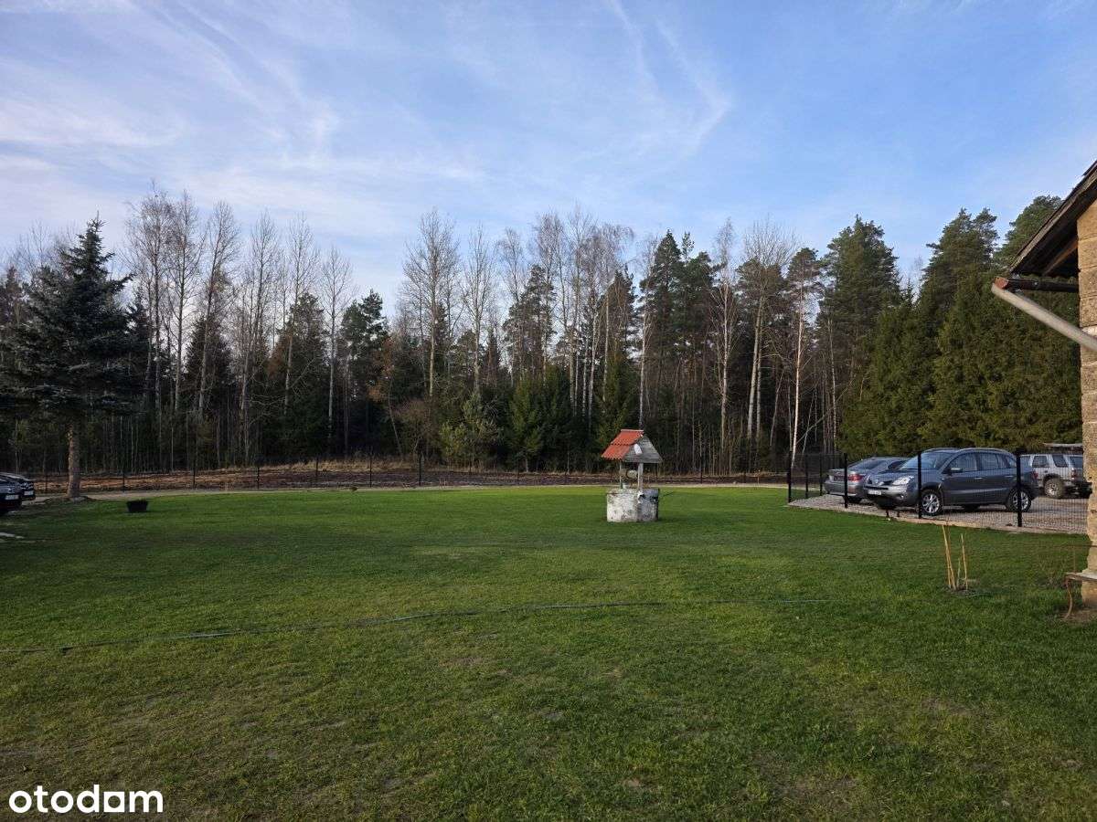 Siedlisko, Jabłońskie, Las-16