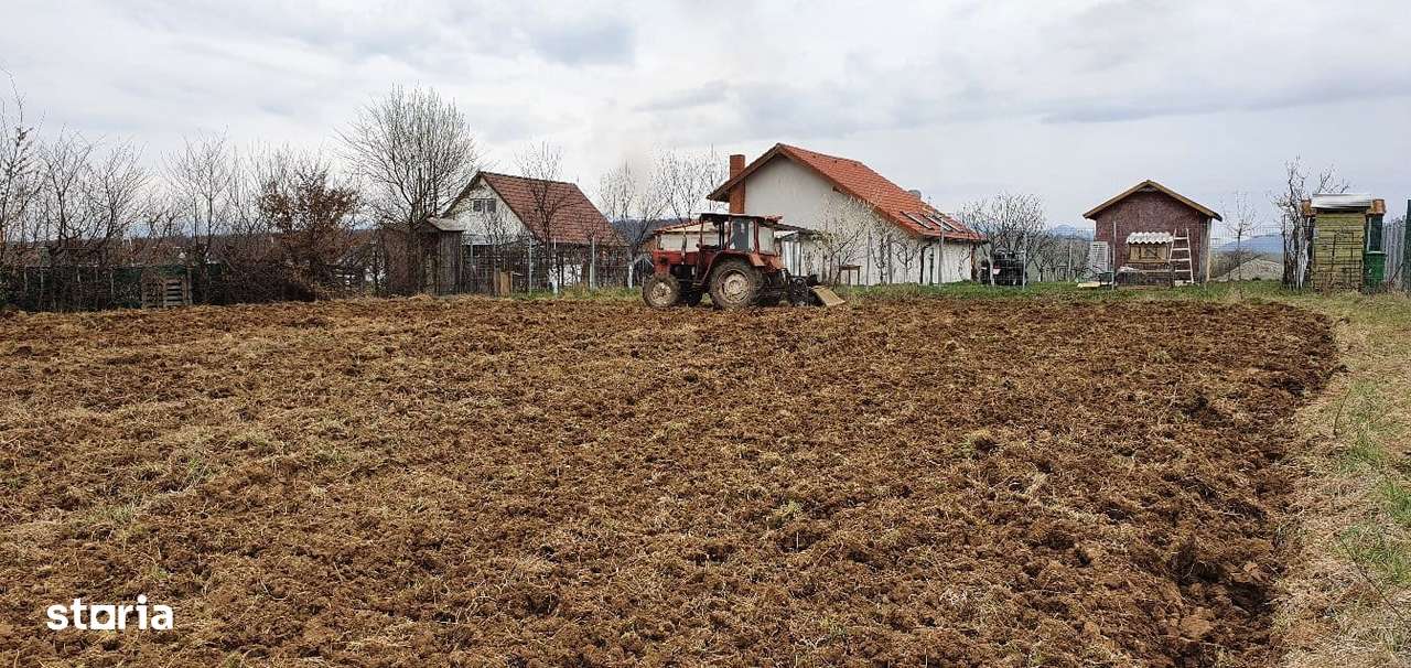 Imobiliare Maxim - tern intravilan Cisnadie-5