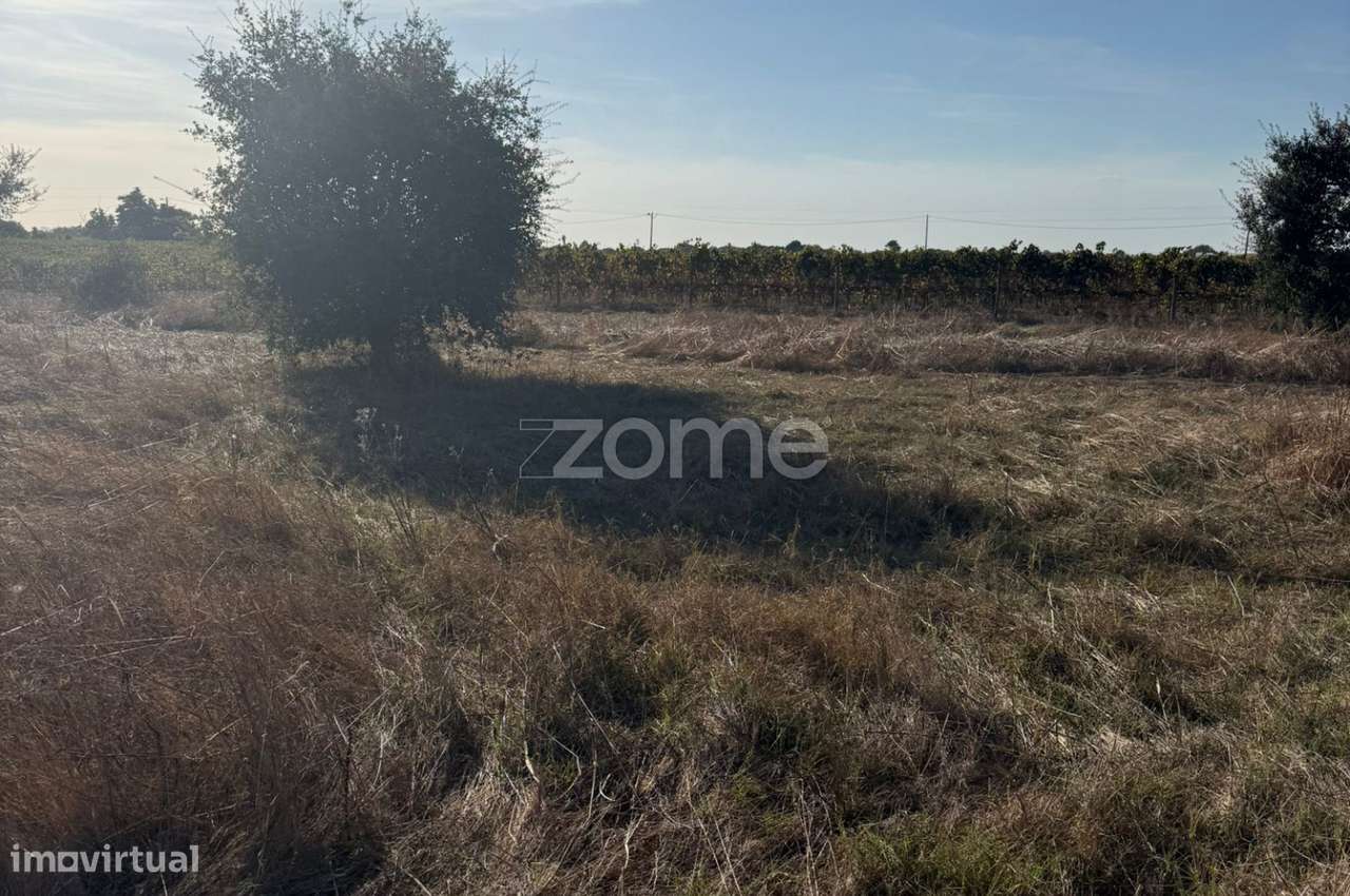 Terreno Rustico para Agricultura-5