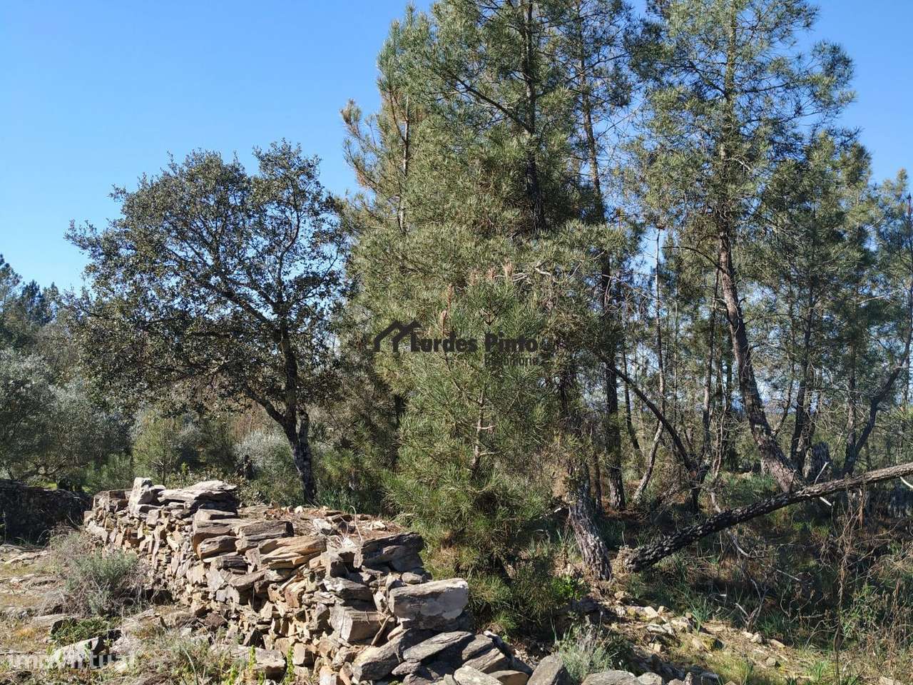 Terreno em Benquerenças-11