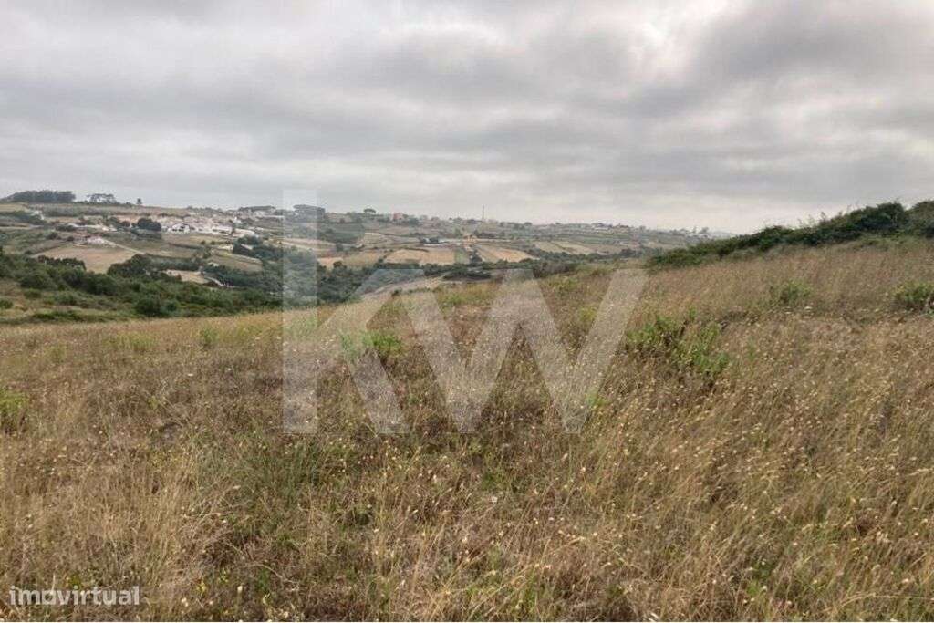 Terreno Agrícola - Assafora - Sintra - Grande imagem: 5/7