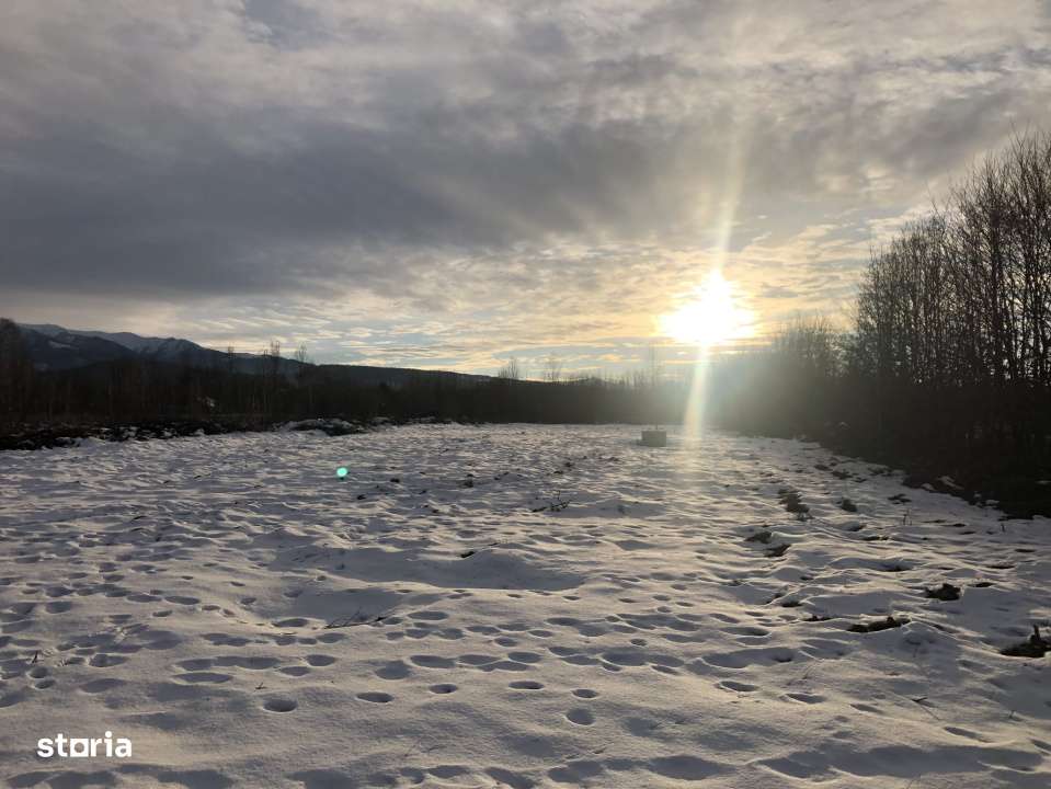 Teren intravilan | 2000 mp | de vanzare- Valea Avrigului - Imagine principală: 5/6