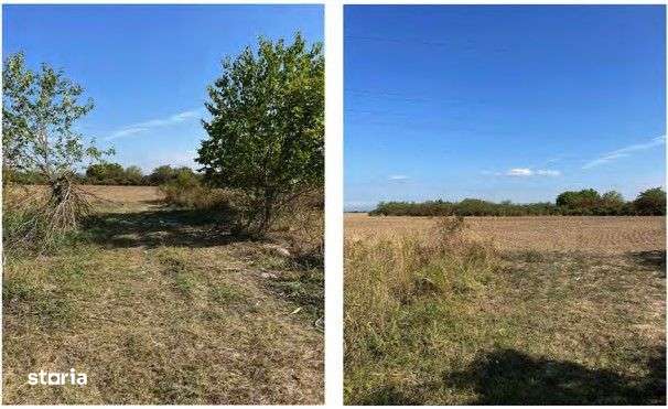 Teren extravilan agricol Halmeu, Satu Mare - 3085272-1