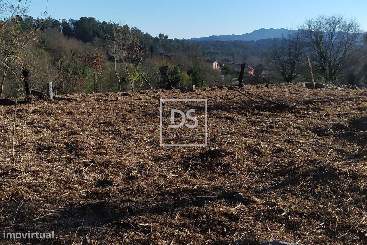 Moradia para Restauro, São Pedro do Sul - Grande imagem: 5/11