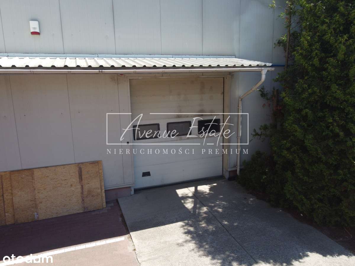 Magazyn 515 m² z zapleczem – dostępny od 01.08 - Pełny obrazek: 4/6