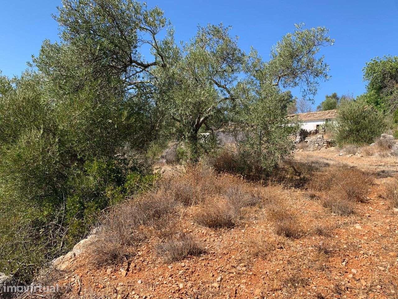 Terreno Urbano, com 3 artigos, Colmeal-28