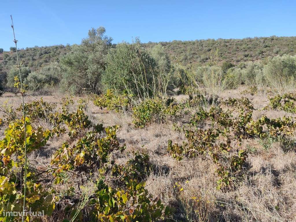 Terreno Rustico com 12 390 m2, Loulé, Algarve - Grande imagem: 5/10