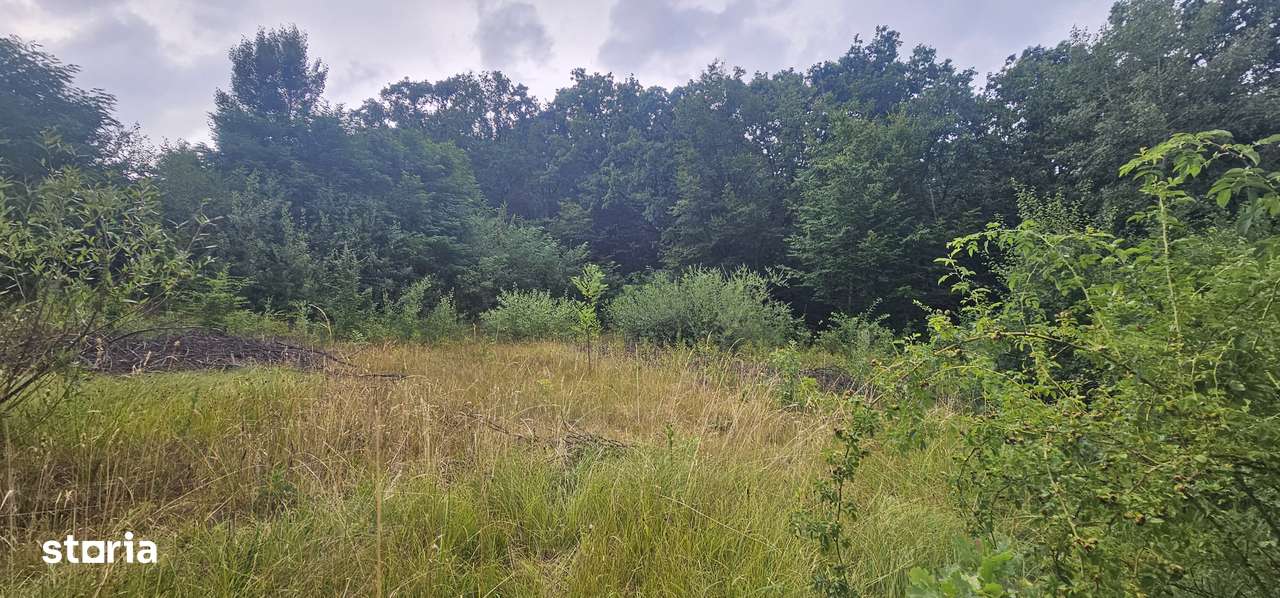 Vand teren intravilan de constructii situat la sosea, Tropinii Noi,PUZ-12