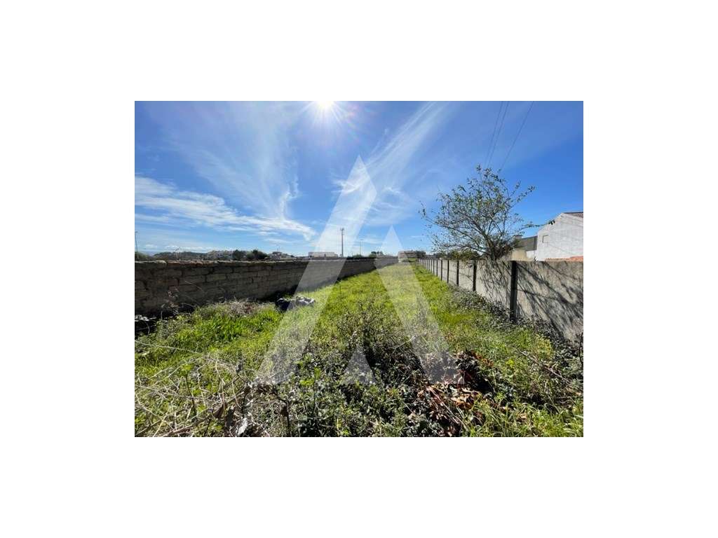 Terreno rústico na Trofa - Águeda - Grande imagem: 5/12