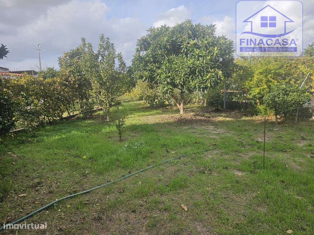 EXCLUSIVO - Quinta com 2069 m2, T1 e um armazém - Asseiceira(Palmela)-30