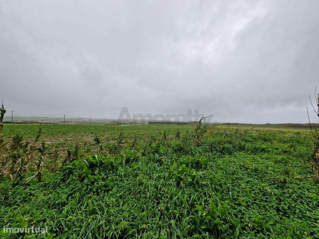 Terreno Para Agricultura em Torres Vedras-8