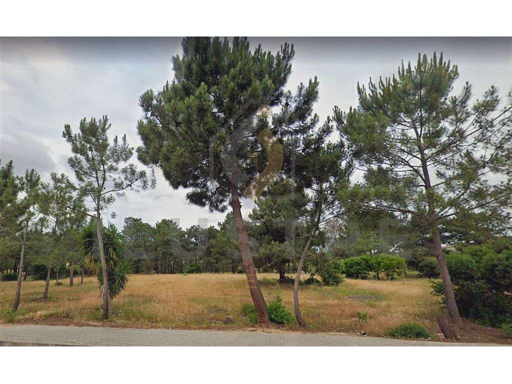 Moradia T4 geminada, com piscina, na localidade de Pinhal Conde da ...-12