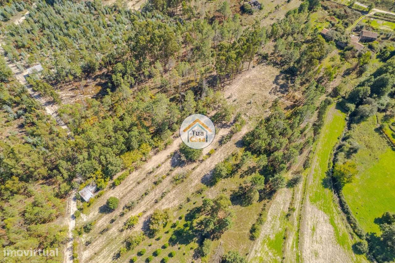 Terreno Rústico em Mangualde - Grande imagem: 5/18