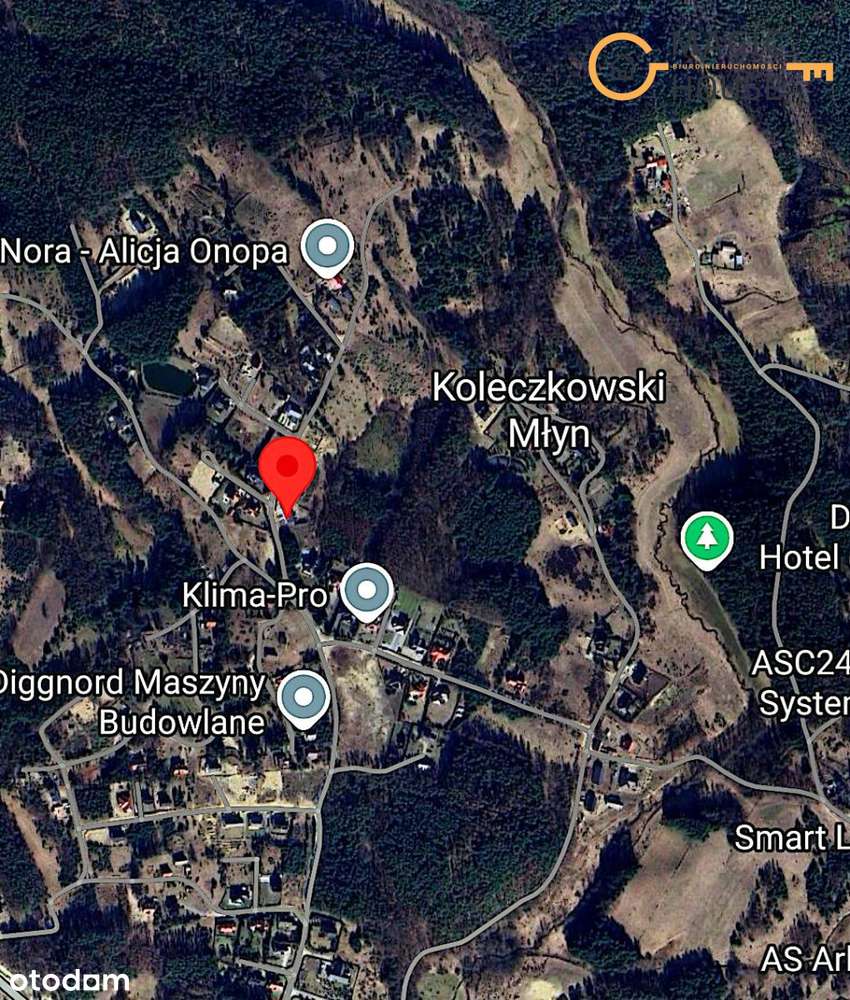 mg226950 - Pełny obrazek: 5/17