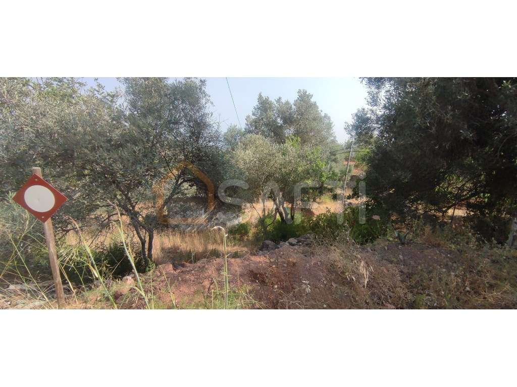 Terreno para construção com vista sobre a Aldeia de Alte - Grande imagem: 4/10