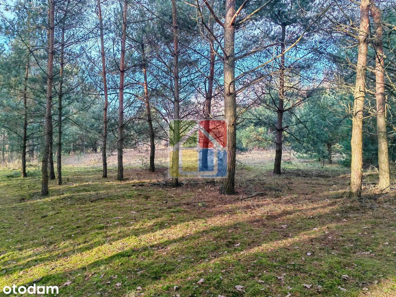 Blisko lasu i rzeczki – atrakcyjna działka pod zabudowę jednorodzinną!-2