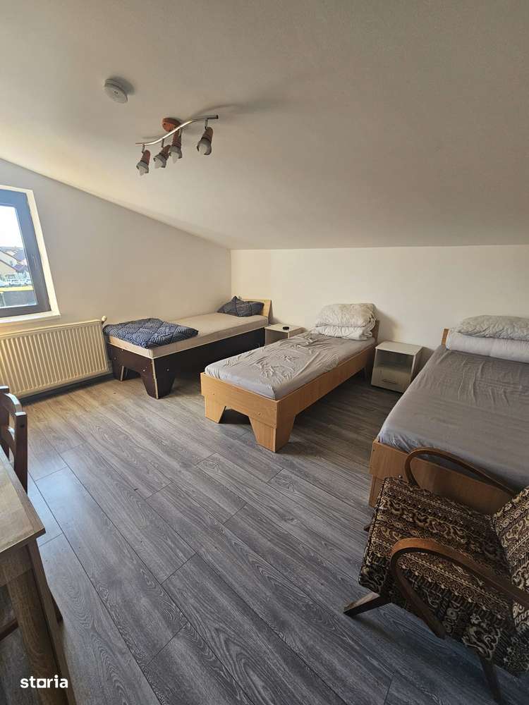 Proprietate speciala Dumbravita - casa individuala !! - Imagine principală: 4/20