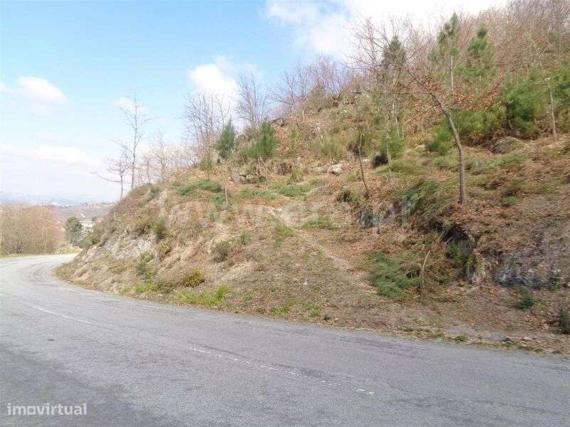 Terreno / Marco de Canaveses, Soalhães - Grande imagem: 2/6