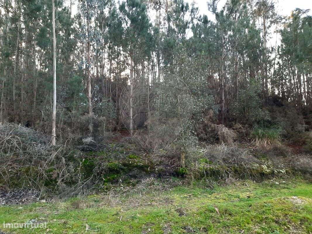Terreno  para venda - Grande imagem: 4/4