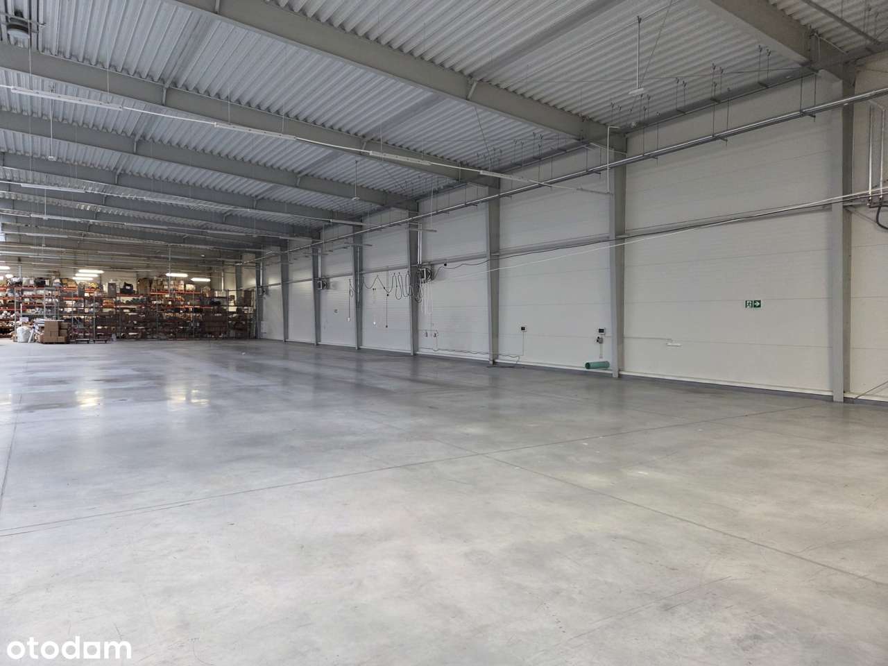 Hala magazynowo produkcyjna 4000 m2 - Pełny obrazek: 5/9