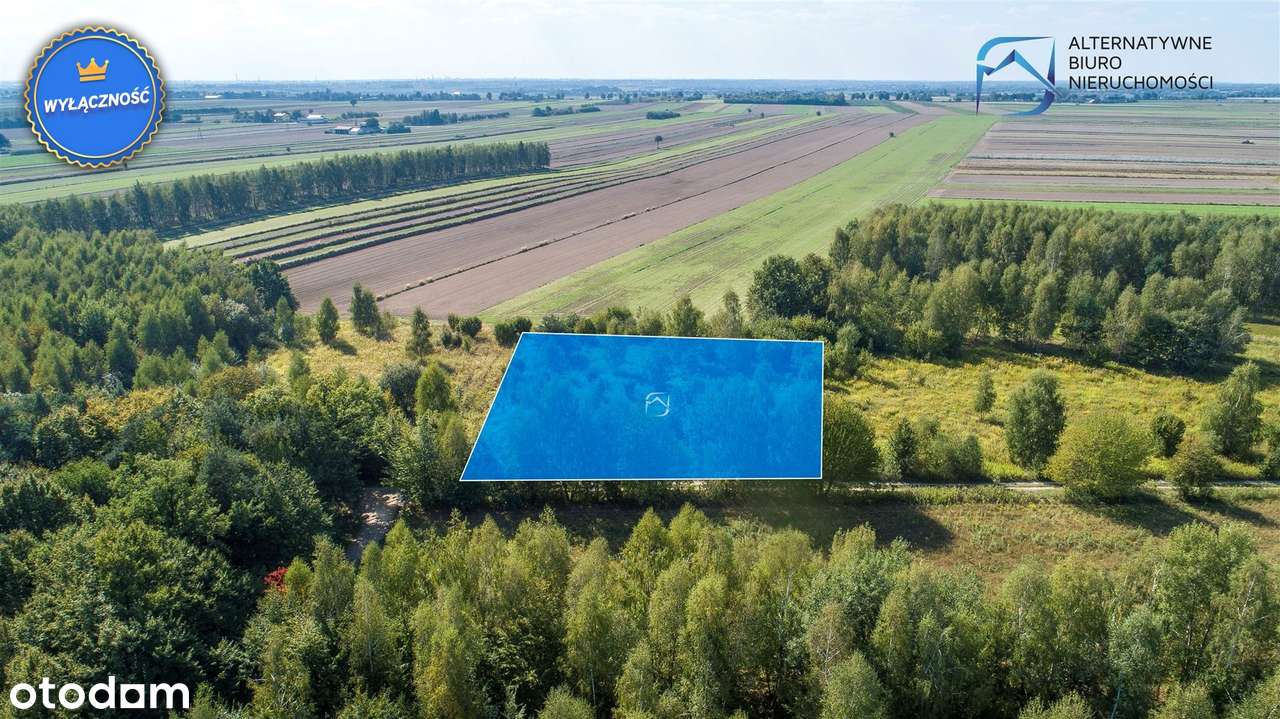 Działka budowlana Gm. Niemce m. Swoboda - Pełny obrazek: 4/19