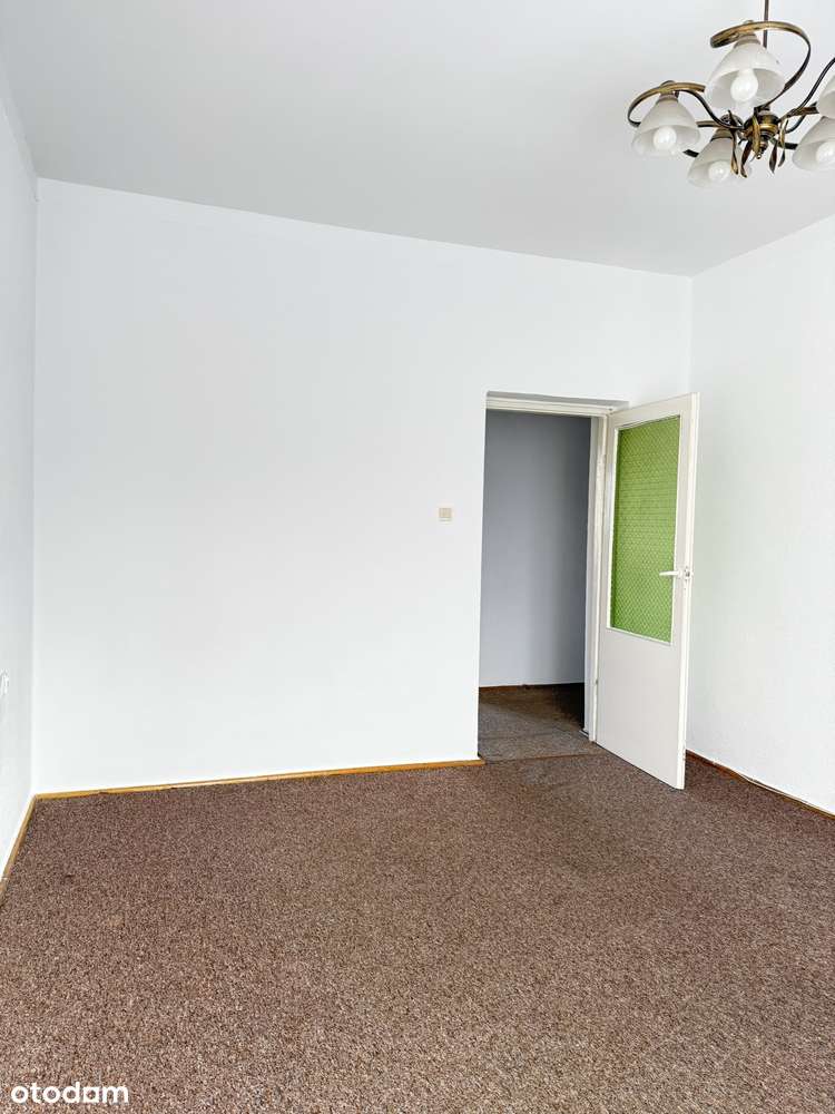 REZERWACJA Jeżyce/Ogrody.-12