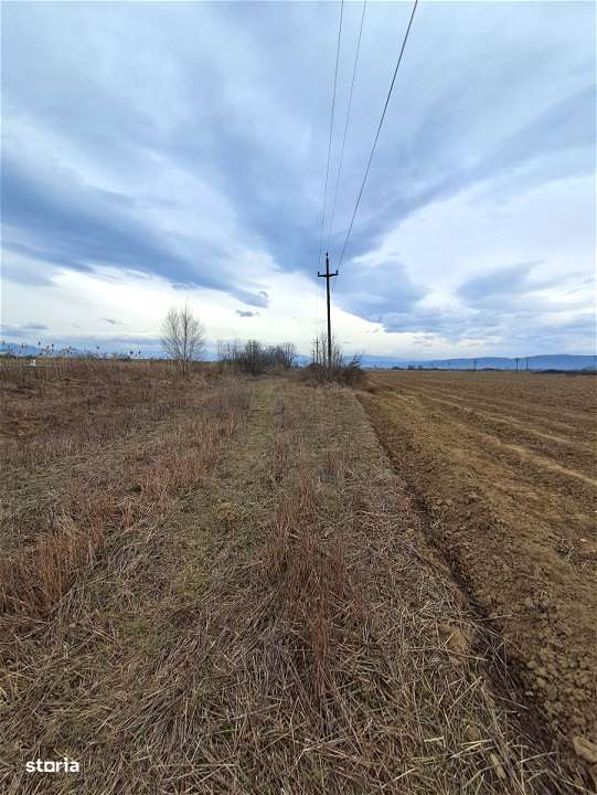 Teren extravilan Avrig-5