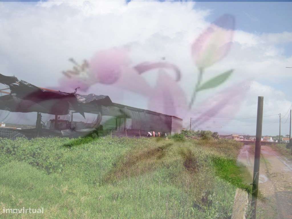 Construção de Moradias - Terreno urbano com 833 m² - Grande imagem: 2/6