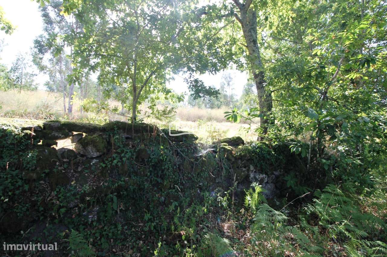 Moradia para Recuperar com Amplo Terreno e Potencial Infinito em Frian-20