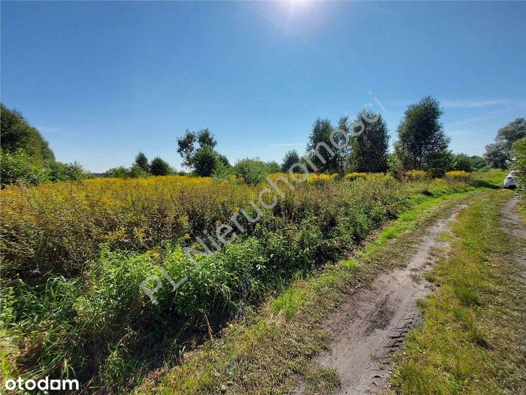 Działka budowlana na lokatę kapitału. - Pełny obrazek: 4/8