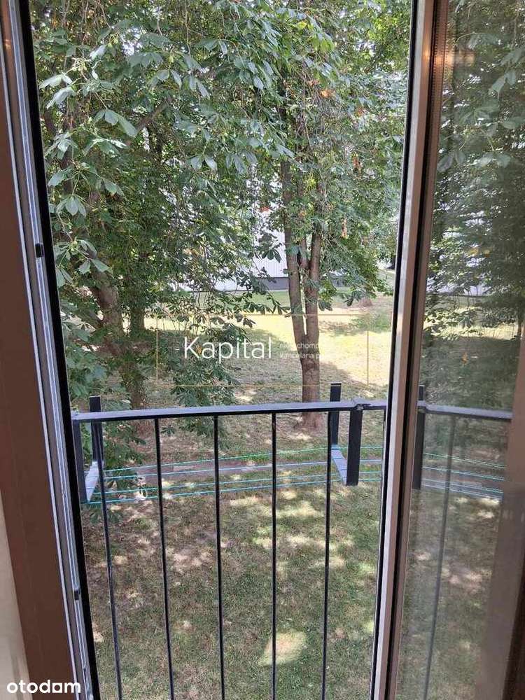 Biskupin osobna kuchnia. - Pełny obrazek: 5/11